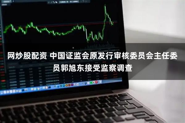 网炒股配资 中国证监会原发行审核委员会主任委员郭旭东接受监察调查